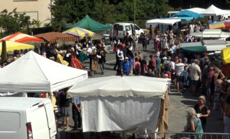 Le marché de producteurs de Rieupeyroux a accueilli dimanche 1er août une nouvelle édition de la fête de la pomme de terre et du veau d’Aveyron. Un rendez-vous incontournable qui met en lumière deux produits emblématiques du Ségala, tout en rappelant les enjeux de renouvellement et de pérennité auxquels sont confrontées ces filières.